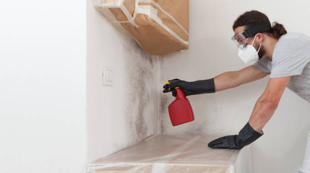 Professional Hvac And Air Duct Mold Remediation technician working in Bahama, NC